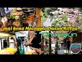 Ride pekena Miangpla kat Dusun Riffaa Changlun Kedah