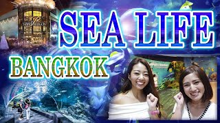 【番外編】バンコク市内にあるアクセス最高な水族館！！SEA LIFE BANGKOK