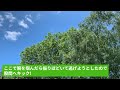 【スカッとひろゆき】白衣を着た見知らぬ男性を発見。所属を聞くと逃げ出そうとして…