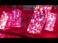 teamlab forest in fukuoka botanical gardens in osaka and other locations 4k