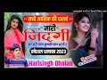 dj remix रुला देने वाला सोंग मारी जिंदगी झंड करी जाण कुणकी मांग बरगी र harisingh dholan new