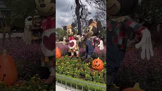 ハロウィン装飾　#ディズニーランド #東京ディズニーランド #ディズニー #ディズニーリゾート #東京ディズニーリゾート #ディズニーシー #東京ディズニーシー