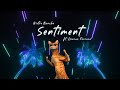 Gistro Bancho - Sentiment ft. Denisse Ferrara (Lyric Video)