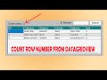 How to count row numbers from Datagridview using vb.net