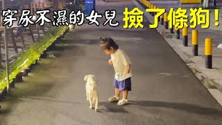 一只小流浪狗一直跟着小孩回到了家，它给自己找了个家！