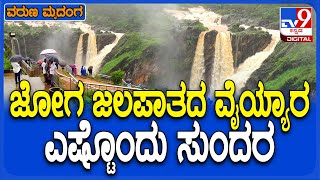 Jog Falls: ಧುಮ್ಮಿಕ್ಕಿ ಹರಿಯುತ್ತಿದೆ ವಿಶ್ವವಿಖ್ಯಾತ ಜೋಗ ಜಲಪಾತ ನೋಡಲು ಎರಡು ಕಣ್ಣುಗಳು ಸಾಲದು| #TV9D