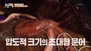 압도적 크기의 🐙대왕 문어까지 몰고 온 복덩이 선호! 대박~ [1박 2일 시즌4/Two Days and One Night 4] | KBS 230514 방송