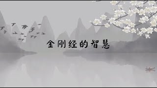 【子归家】聊天室 | No.0974 金刚经的智慧 | 经典类 讲经 金刚经 | 06 佛学理论系列 | 杨宁