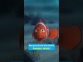 Did you know this about FINDING NEMO