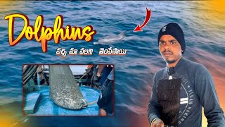 మా బోటు దగ్గరికి DOLPHINS మళ్లీ వచ్చాయ్ #fishingboats #fishingvideo #viral #fishing