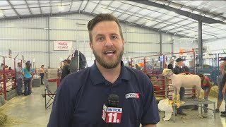 Hancock County Fair kicks off in Findlay