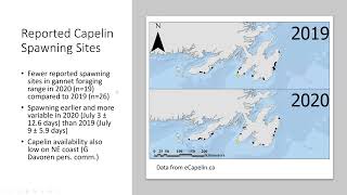 February 2023 Members Meeting - Reproduction and Tracking of Northern Gannets