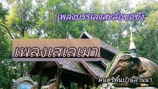 ดนตรีพื้นเมือง-สะล้อซอซึง-จังหวะห่ม 1