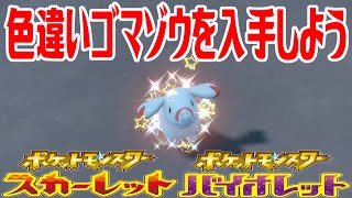 【ポケモンSV】色違いゴマゾウを入手しよう【ポケットモンスター スカーレット・バイオレット】Pocket Monsters