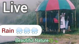 Rain LIVE 🌧 Kerala Monsoon Ponmudi  Hills Video | Nat Geo MAX HD INDIAN MONSOON National Geographic