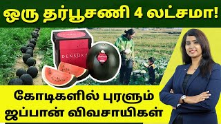 The Costliest Watermelon on Earth | Densuke Watermelon in Tamil | Bala Saraswathi