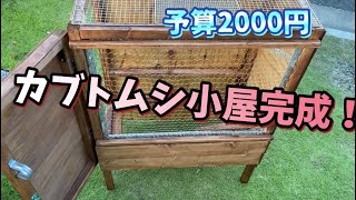 カブトムシ小屋が遂に完成！