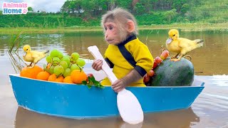 Farmer BiBi takes ducklings to pick fruit