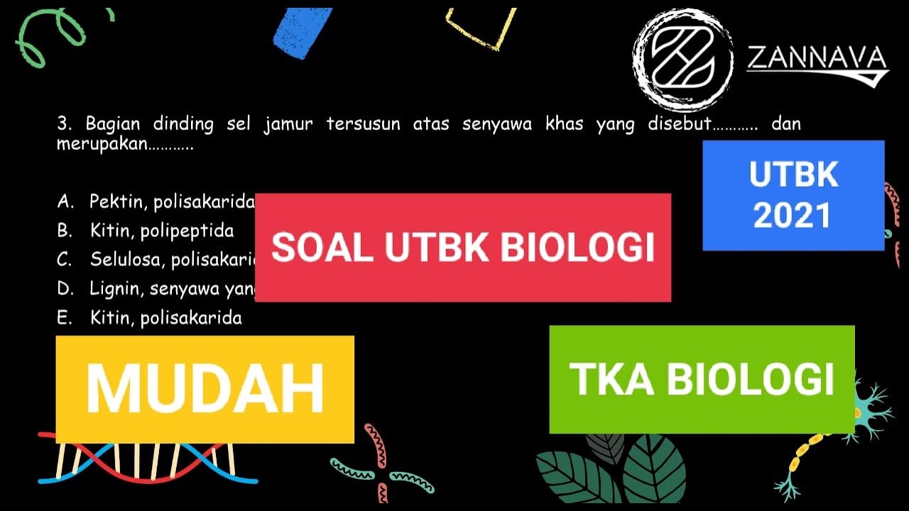 SOAL UTBK TKA BIOLOGI 2021 (PEMBAHASAN TKA SAINTEK) - BEDAH SOAL UTBK ...