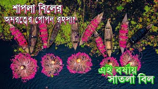 আশ্চর্য শাপলার রাজ্য সাতলা বিল ! অদ্ভুদ সাতলা নামে কোন বিলই নেই?