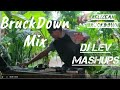 Bruck Down Mix Vol. 2 | Caribbean Dynamics, Leela Vernon, Dread Mar (DJ Lev MashUps)