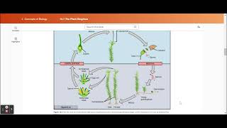 14.1 The Plant Kingdom - Concepts of Biology | OpenStax