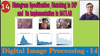 Histogram Matching/Specification in Digital Image Processing with example and perform in MATLAB|#DIP