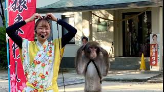 Minatogawa Shrine Summer Festival in Japan 夏祭り前夜の湊川神社