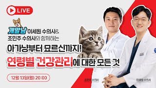 😺 [실시간] 아가냥부터 묘르신까지! 연령별 건강관리에 대한 모든 것 😺