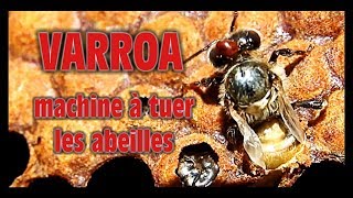 USaA - LES MALADIES DES ABEILLES - chap1 : LE VARROA avec Joseph Létondal Docteur Vétérinaire