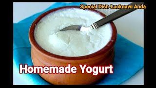 बाज़ार जैसा yogurt घर पर #Greek Yogurt Recipe #Yogurt Recipe with only one ingredient #Easy tips