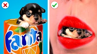 13 Ways to SNEAK PETS INTO THE MOVIES! Sneak Pets Not Snacks into The Movies by KABOOM!