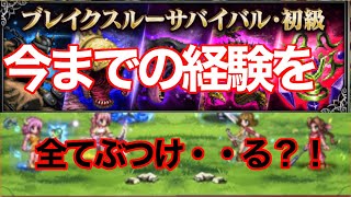 【FFBE】ブレイクスルーサバイバルで全てをぶつける？《前編》♯３０【無課金】