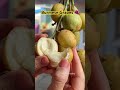 What is Burmese Grapes looks like?? 🍇😱 #shorts #satisfying #fruitcutting #fruit #oddlysatisfying