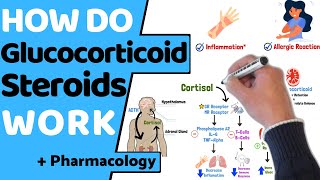 How do Corticosteroids Work? (EASY Pharmacology)