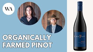 Delicious Organically Farmed Pinot | 2021 District 7 Pinot Noir Monterey