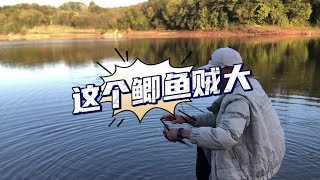 水库野钓，快点来钓大板鲫。#原来钓鱼才是抖音运动顶流