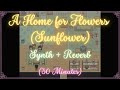 A Home for Flowers (Sunflower) Loop ☛ OMORI OST | BDO Shai music | Synthwave + Reverb cover