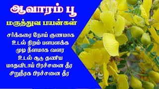 Aavaram poo maruthuva payangal II ஆவாரம்பூ மருத்துவ பயன்கள் II Medicinal uses of Avarambu