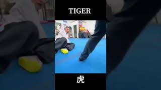 Tiger Kung fu floor fight techniques for attacks \u0026 defense