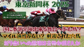 東京新聞杯 2025 競馬予想【本領発揮出来る舞台が遂に？ 舐められすぎた評価の2頭？】注目馬3頭紹介