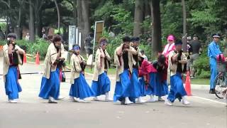 鴉(光が丘よさこい祭り2013 1日目・イチョウ並木)