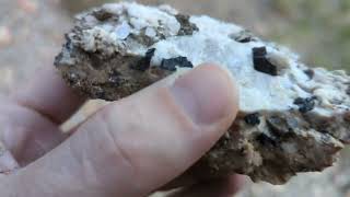 Mica (Biotite) and Black Tourmaline || Golden Gate Canyon, Golden, Colorado, USA || Rockhounding