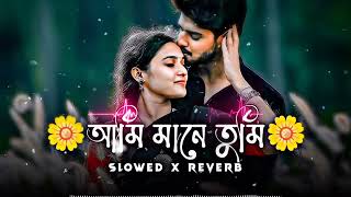 Ami mane tomi|আমি মানে তুমি| (Slowed reverb Lofi) Remix|Bangla Song | LO-FI MIX WALA