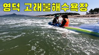 영덕 고래불해수욕장 [조개잡기 물놀이]