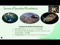 webinar microplastics u0026 health dr. curnew md