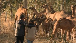 Temesgen Gebregziabher Temu   Mehaya mehaya   New Ethiopian Music 2016 Official Video