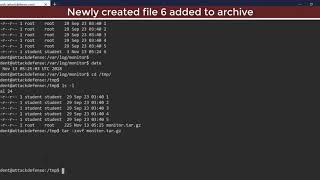 Linux Security - Privilege Escalation: Cron Jobs Gone Wild!