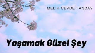 Melih Cevdet Anday - Çok Güzel Şey ( Şiir )