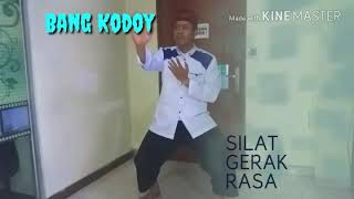 Silat Gerak Rasa Indonesia